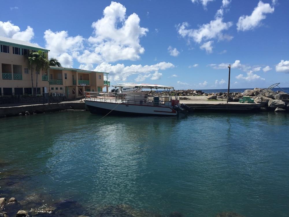 Bird Rock Beach Hotel Basseterre Kültér fotó
